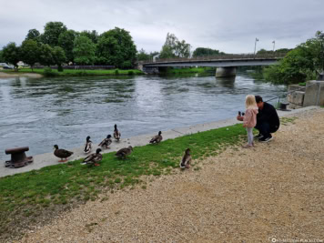 Donau-Ufer in Lauingen