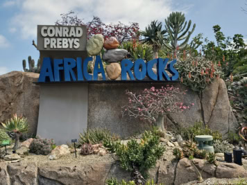 Africa Rocks