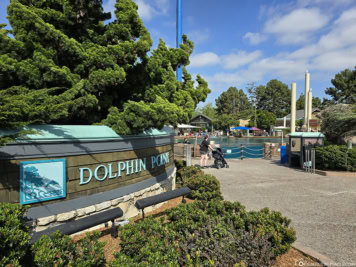 Dolphin Point