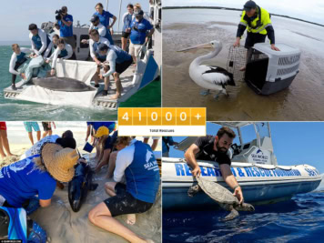 SeaWorld Rescue & Rehabilitation