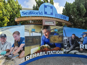 SeaWorld Rescue & Rehabilitation