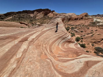 Fire Wave im Valley of Fire State Park