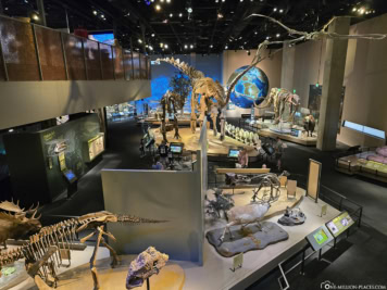 Perot Museum of Nature and Science