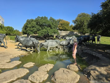 Dallas Cattle Drive Sculptures