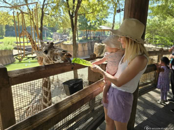 Dallas Zoo