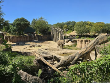 Dallas Zoo