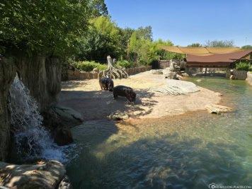 Dallas Zoo