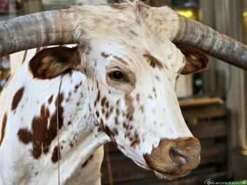 Fort Worth Stockyards Station