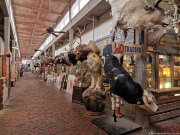 Fort Worth Stockyards Station