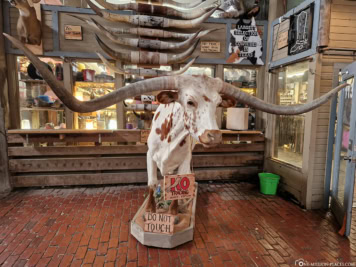 Fort Worth Stockyards Station