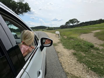 Fossil Rim Wildlife Center