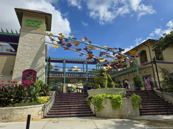 San Antonio Zoo