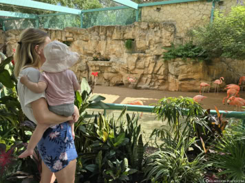 San Antonio Zoo