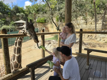 San Antonio Zoo