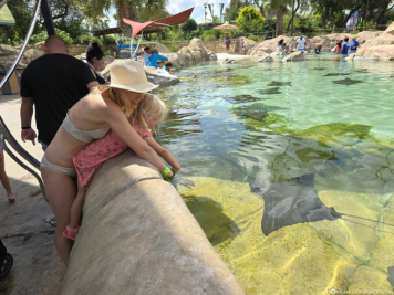 Aquatica San Antonio
