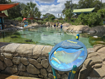Aquatica San Antonio