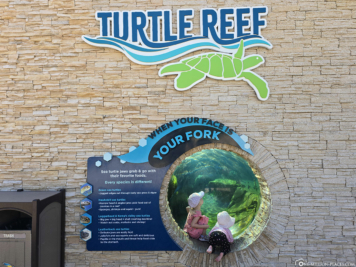SeaWorld San Antonio