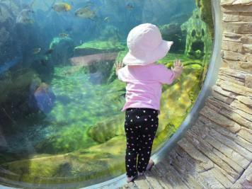 SeaWorld San Antonio