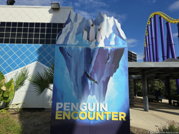 SeaWorld San Antonio