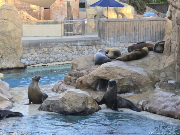 SeaWorld San Antonio