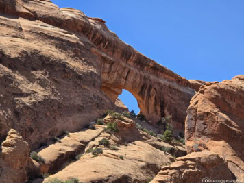 Arches National Park