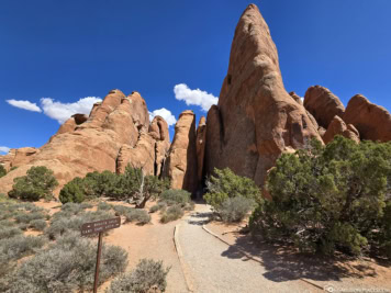 Trail zum Sand Dune Arch