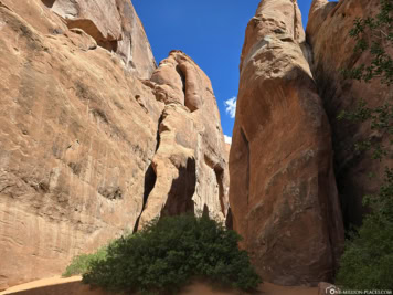 Trail zum Sand Dune Arch