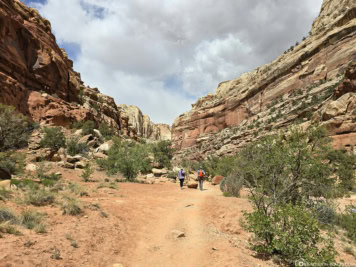 Cassidy Arch Trailhead