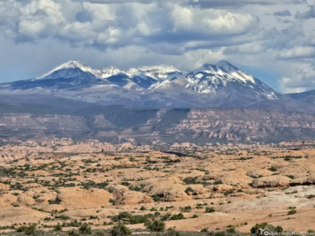 Blick auf die La Sal Mountains