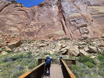 Petroglyph Panels