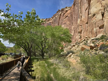 Petroglyph Panels