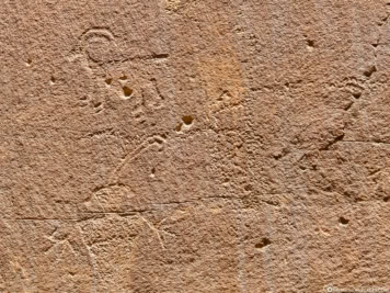 Petroglyph Panels