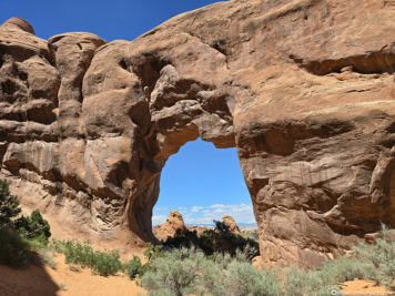 Pine Tree Arch