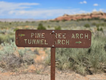 Pine Tree Arch