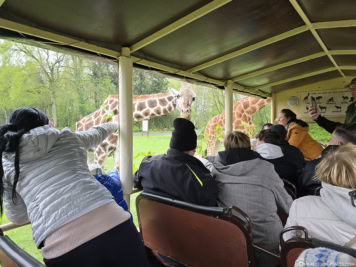 VIP-Jeep Safari