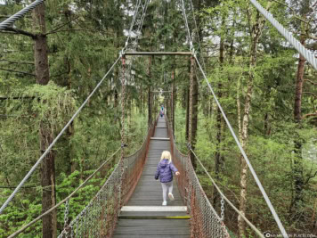 Hängeseilbrücke