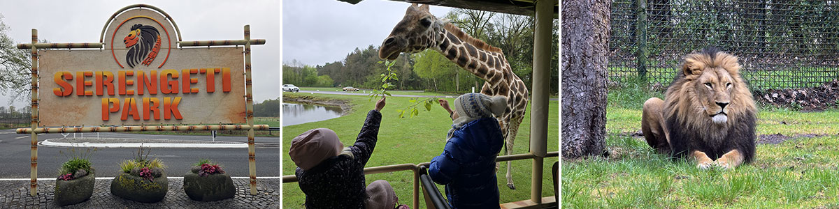 Serengeti Park Headerbild