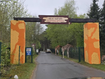 Drive-Through Safari