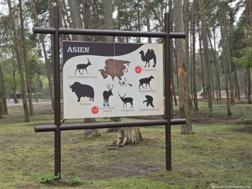 Abschnitt Asien