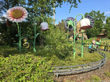 Flip, der Grashüpfer