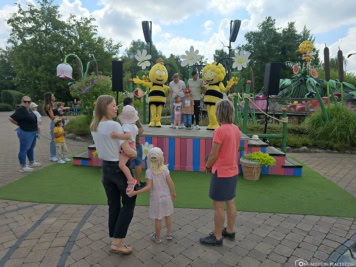 Meet & Greet mit Maja & Willi