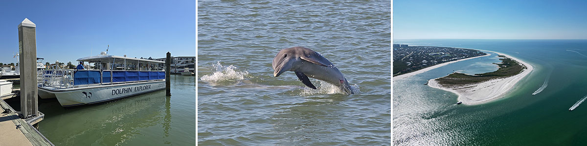 Dolphin-Explorer-Florida-Headerbild