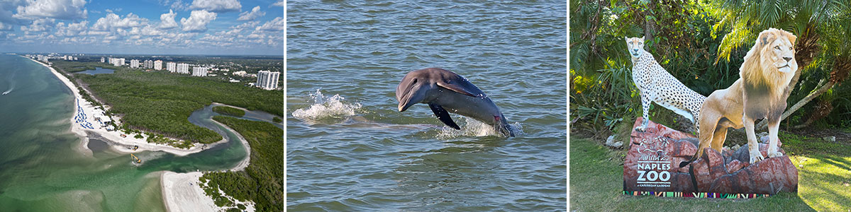 Naples Marco Island header image