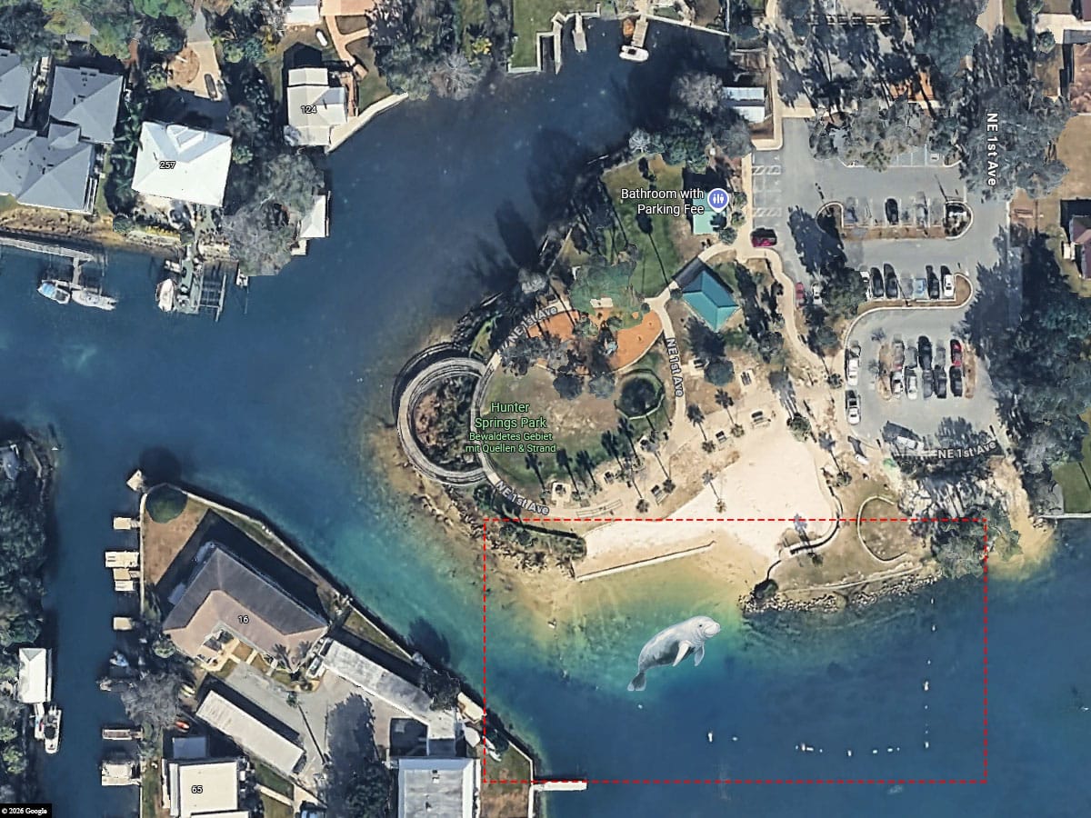 Schwimmen mit Manatees im Hunter Springs Park