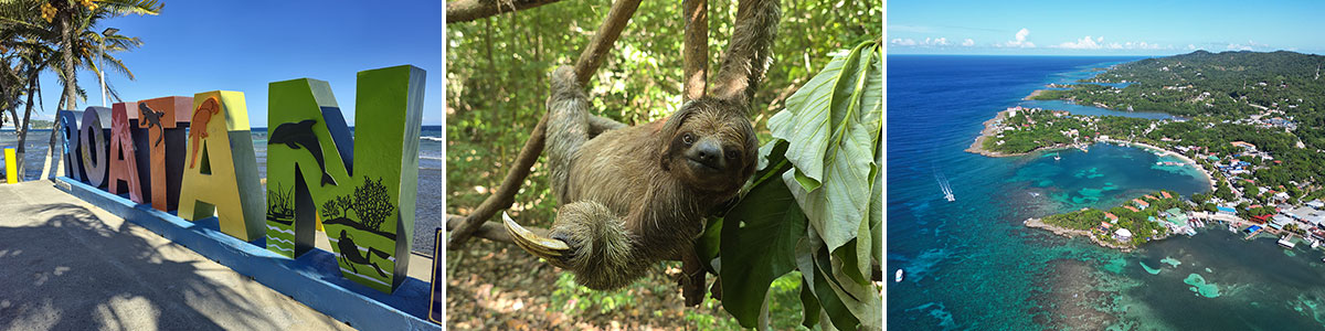 Roatan-Headerbild