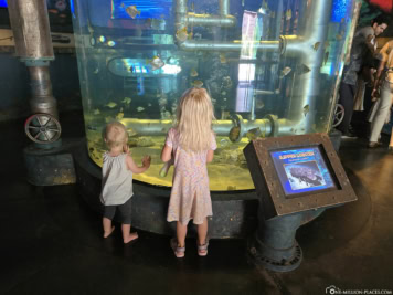 Downtown Aquarium