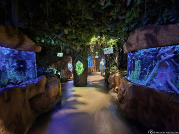 Downtown Aquarium