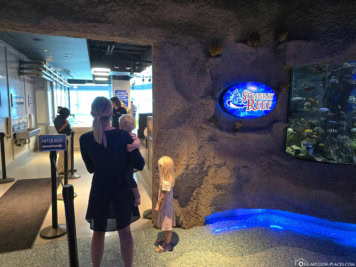Downtown Aquarium