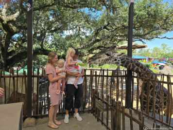 Zoo Houston