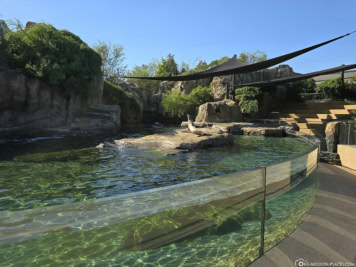 Zoo Houston